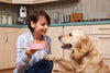 HOW TO FEED YOUR PET TO MAKE THEM HEALTHY