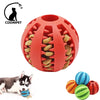 Interactive Puppy Chew Ball