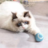 Self-Moving Cat Training Ball