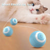 Self-Moving Cat Training Ball