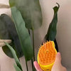 Steamy Pet Grooming Brush