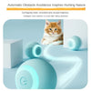 Rechargeable Interactive Cat Ball