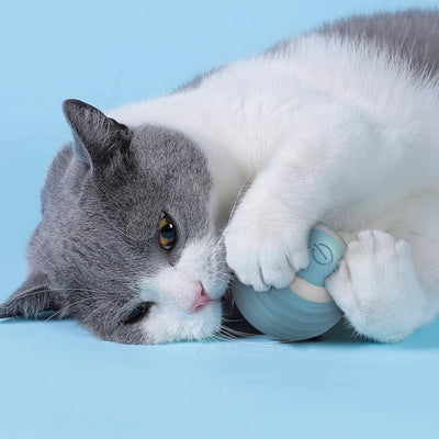 Self-Moving Cat Training Ball