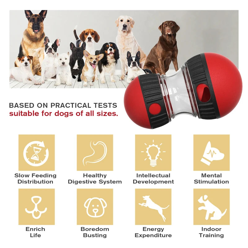 Interactive Intelligence Dog Toy