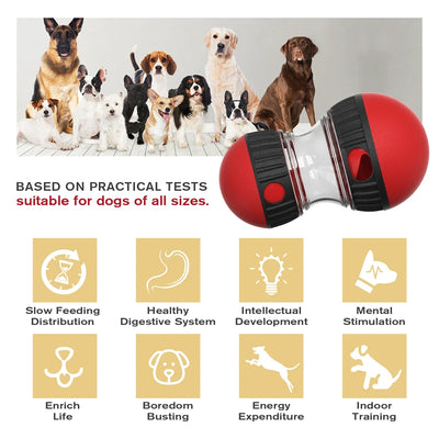 Interactive Intelligence Dog Toy