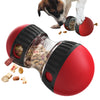 Interactive Intelligence Dog Toy